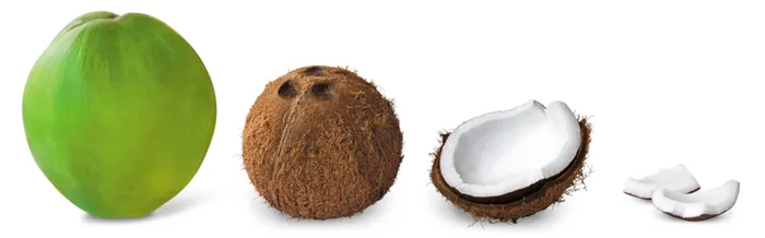 Как выбрать правильный кокос для производства кокосового масла?