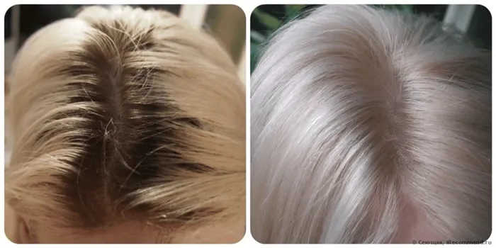 Лучшая краска для седых волос: топ-8 эффективных средств. Как покрасить седые волосы 18