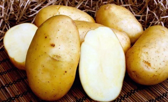 картофель для закрепления цвета