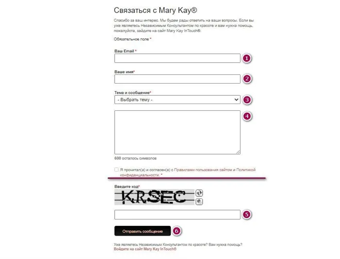 Как стать представителем Mary Kay: условия, порядок. Как стать консультантом мери кей 7