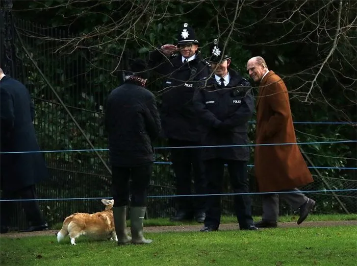 Елизавета II и принц Филипп на прогулке с собаками корги