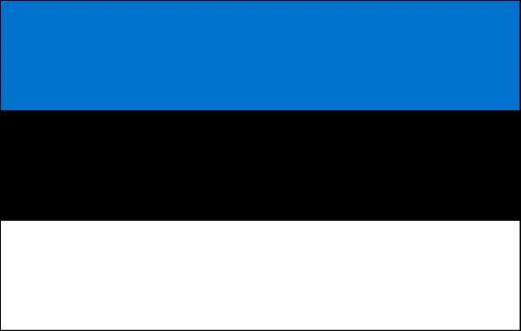 Флаг Эстонии. Синий черный белый флаг какой страны 3