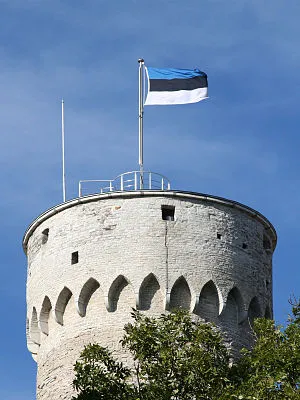 Флаг Эстонии. Синий черный белый флаг какой страны 2