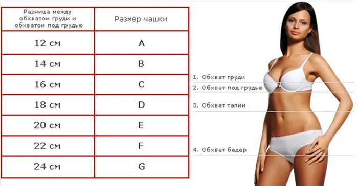 таблица для определения размера груди