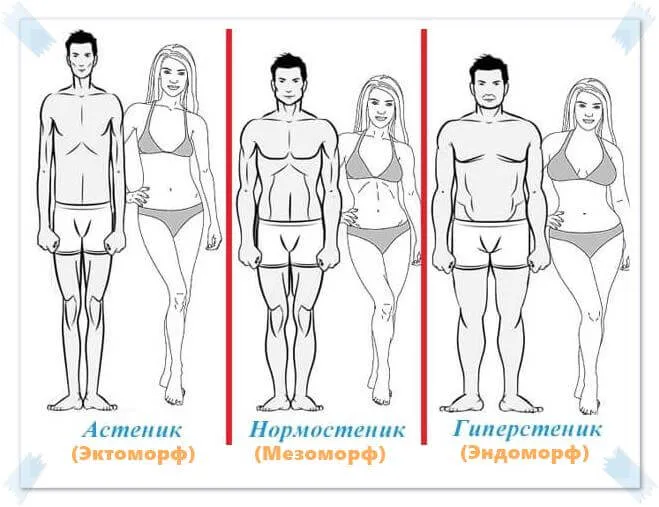 Типы телосложения у мужчин и женщин: как определить и скорректировать. Как определить тип телосложения 2