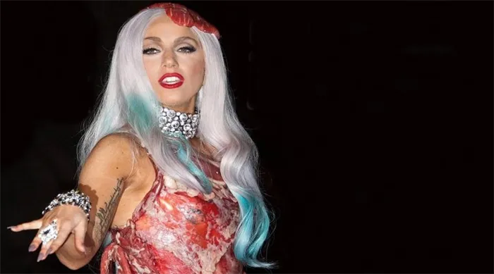 Леди Гага в платье из мяса. Леди гага в платье из мяса зачем 6