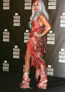 Леди Гага в платье из мяса. Леди гага в платье из мяса зачем 11