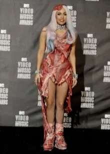 Леди Гага в платье из мяса. Леди гага в платье из мяса зачем 10