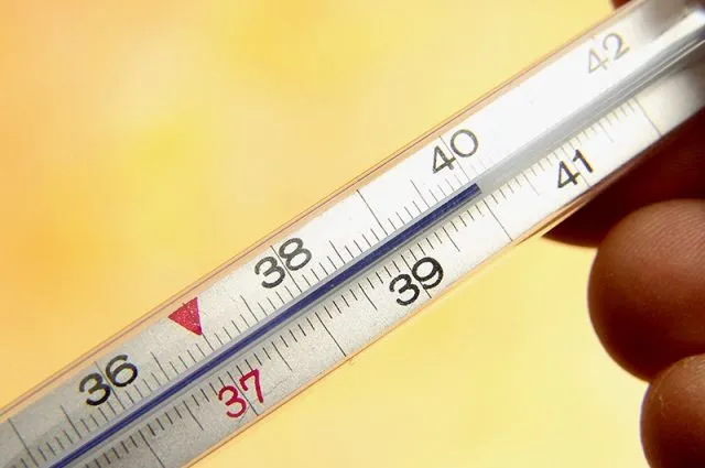 Термометр для тела: какой самый точный. Какой градусник точнее ртутный или электронный 4