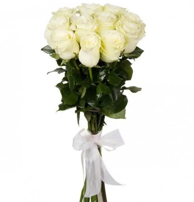 Что означают белые розы и к чему их дарят. Что означает белая роза 2