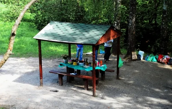 Площадка для жарки шашлыков в Тропаревском парке