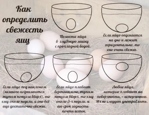 Как определить свежесть яиц