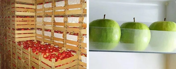Как сохранить яблоки свежими