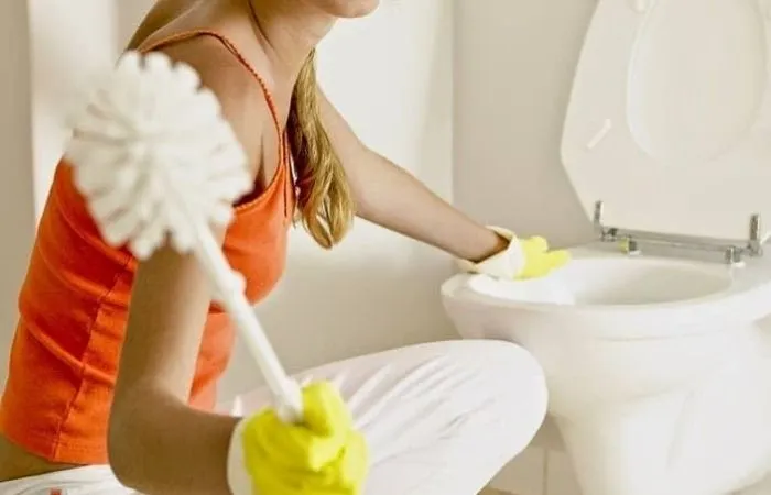 Лучшие средства для борьбы с накипью в туалетах
