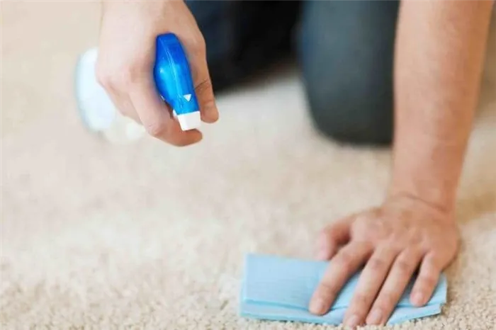 Чистка ковров. Как почистить очень грязный ковер в домашних условиях быстро и эффективно 10