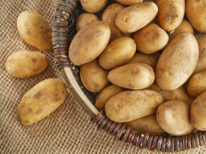 Как правильно хранить картофель. Как хранить картошку в квартире 9