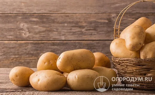 В городской квартире картофель можно хранить под раковиной в плетеной корзине, деревянном или пластиковом ящике. Также можно организовать хранение на балконе, лоджии или в прихожей подъезда