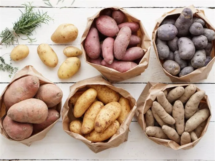 Как правильно хранить картофель. Как хранить картошку в квартире 10