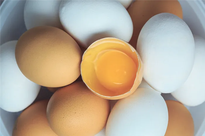 Все, что нужно знать о яйцах