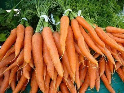 Лучшие способы круглогодичного хранения моркови. Как правильно хранить морковь 3