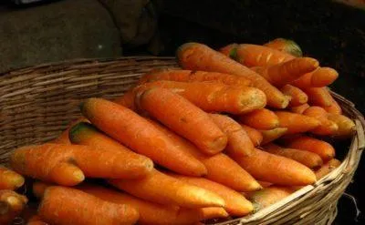 Лучшие способы круглогодичного хранения моркови. Как правильно хранить морковь 2