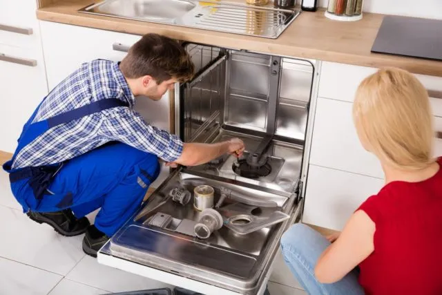 Откуда появляется неприятный запах из посудомоечной машины и как его убрать. Запах в посудомоечной машине как избавиться 3