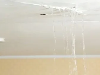 Полезные рекомендации, как самостоятельно убрать воду с натяжного потолка, если затопили соседи. Как слить воду с натяжного потолка 28