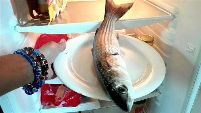 Рыба в морозильной камере