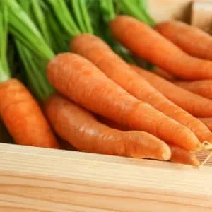 Срок хранения моркови в холодильнике и как правильно это сделать