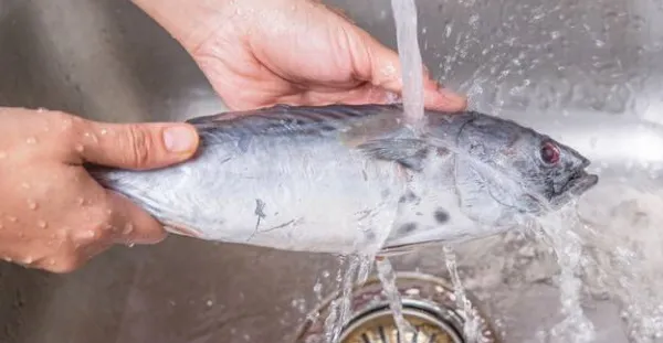 Как быстро и правильно разморозить рыбу для жарки, копчения, варки