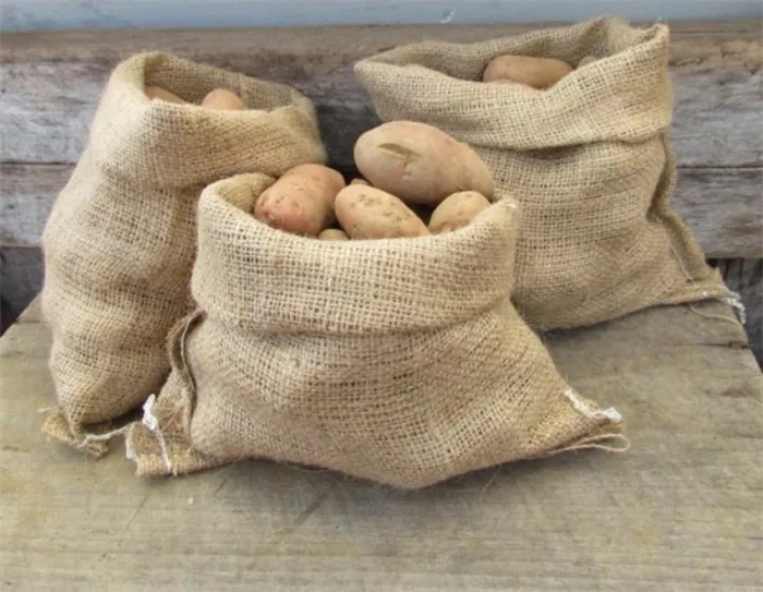 Как хранить картофель дома – оптимальные условия выбор емкостей для хранения. Где хранить картошку в квартире 4