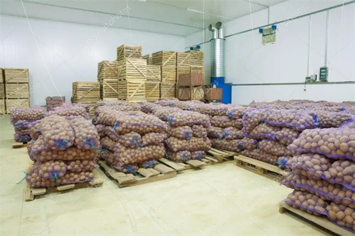 Как хранить картофель дома – оптимальные условия выбор емкостей для хранения. Где хранить картошку в квартире 13