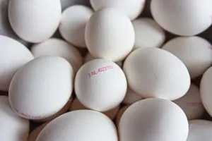 Каков срок хранения в домашних условиях сырых куриных яиц при комнатной температуре согласно СанПиН. Какой срок годности у яиц 2