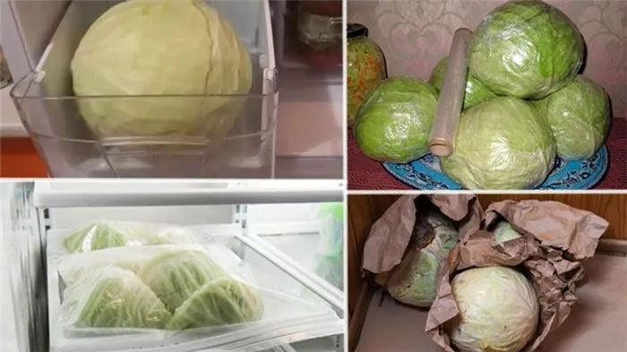 Как правильно хранить капусту без морозильников, холодильников и холодильных установок