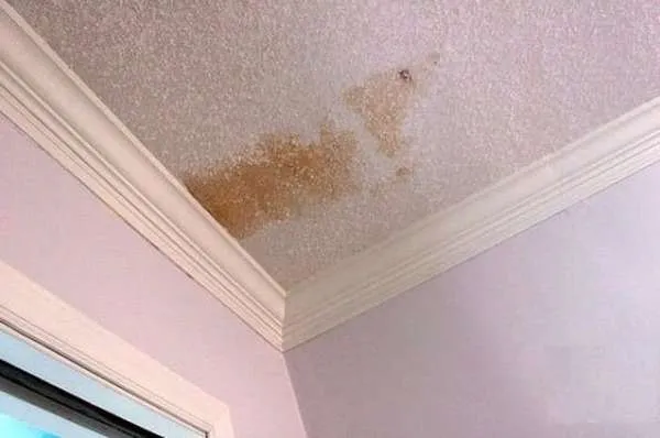 Как удалить пятна на потолке своими руками?
