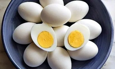Сохраняя пользу, или сколько хранятся вареные куриные яйца при комнатной температуре. Сколько хранятся вареные яйца 5