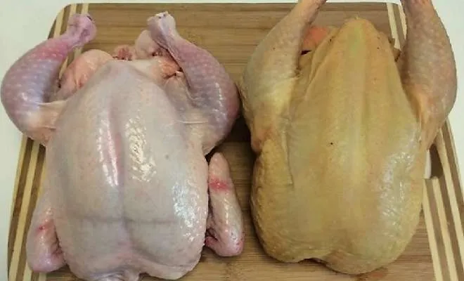 птица (например, курица, куриное мясо и продукты из птицы)