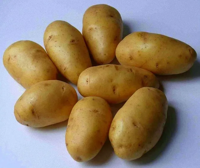 Фотография картофеля-ромашки