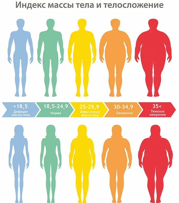 Стадии избыточного веса и ожирения по ИМТ