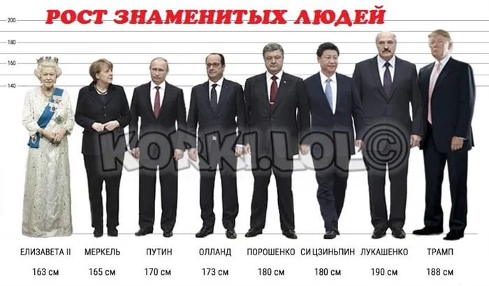 Рост Путина, Медведева, Сталина, Гитлера, Баскова и других известных знаменитых людей. Какой рост у зеленского 2