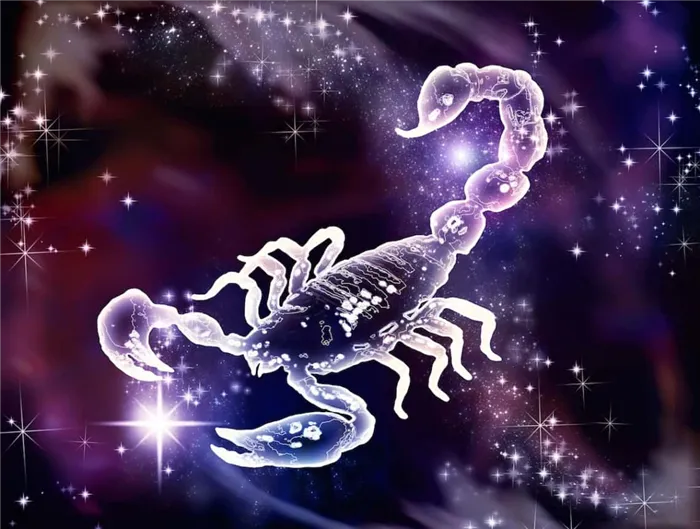 Почему Скорпион самый негативный знак Зодиака. Почему скорпион плохой знак 3