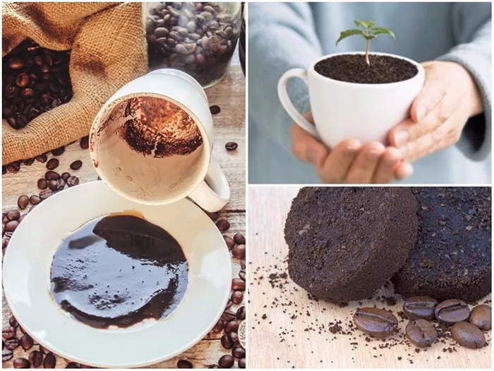 фото как правильно использовать кофейный жмых для удобрения растений