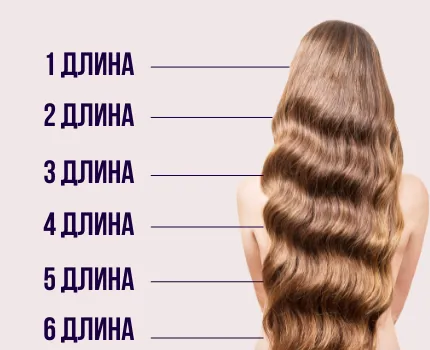 Длина волос – как определить свою и подобрать оптимальную. Длинные волосы сколько сантиметров 6