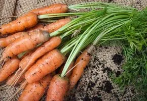 Как сажать морковь весной