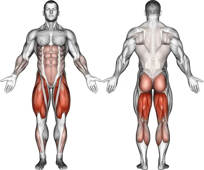 Ποιοι μύες αναπτύσσονται με το κάθισμα