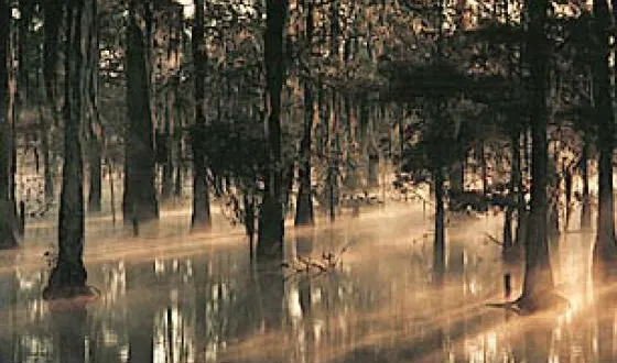 Местные жители утверждают, что видели призраков на этих болотах.