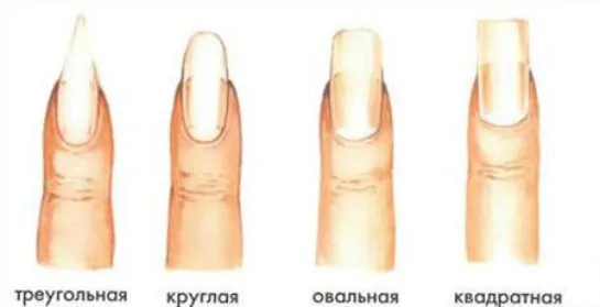 Выбираем форму ногтя правильно. Как понять какая форма ногтей тебе подходит 7