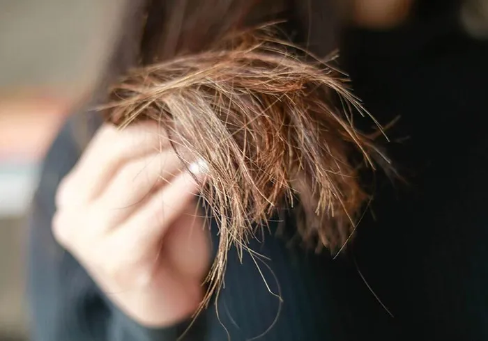 Из-за посеченных концов волосы станут ломкими. / Фото: shpilki.net