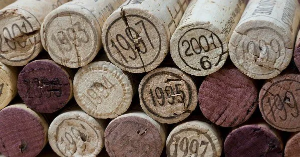 moneypapa.ru - как выбрать вино в ресторане - не гонитесь за винтажными винами