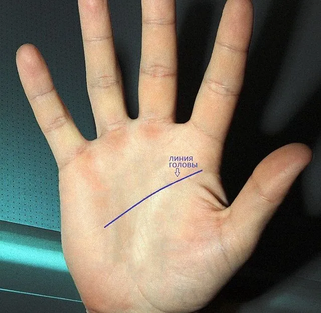 Основные и второстепенные линии на руке. Что означают линии на ладони? 5